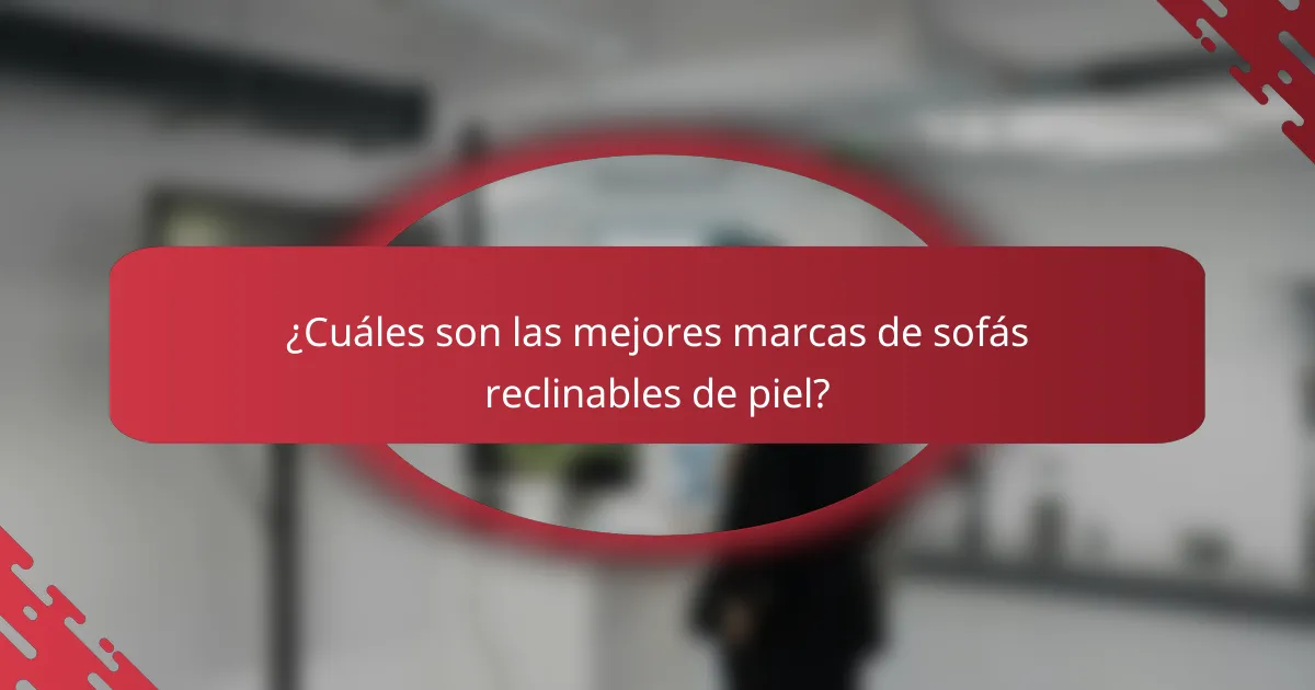 ¿Cuáles son las mejores marcas de sofás reclinables de piel?
